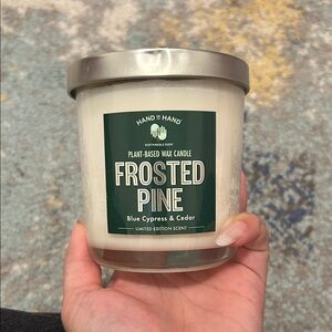 Hand in hand frosted pine plant based wax candle